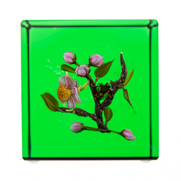 Glass Paperweight Fine Art Green Apple Blossom with honey Bee Signed