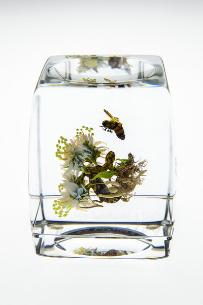 H 46 Botanical Honey Bee w/human form handmade glass
