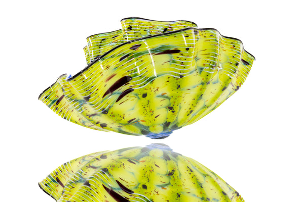 Chihuly Signed Eucalyptus Macchia Contemporary Hand Blown Glass Art