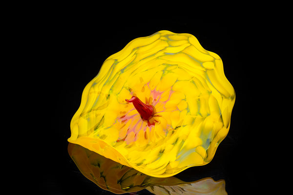 Dale Chihuly Yellow Bel Fiore Original Handblown Glass Signed Contemporary Art